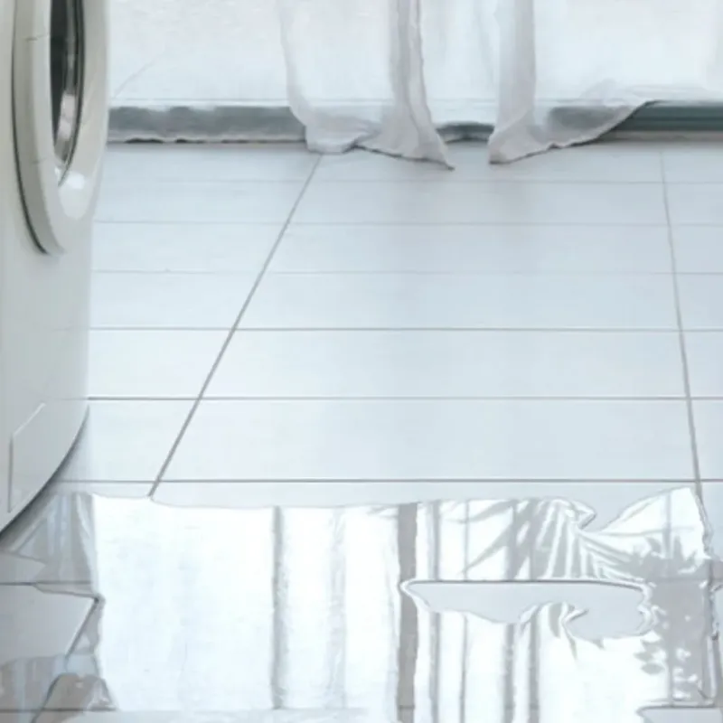 Appliance Leak Cleanup in Fall City, WA