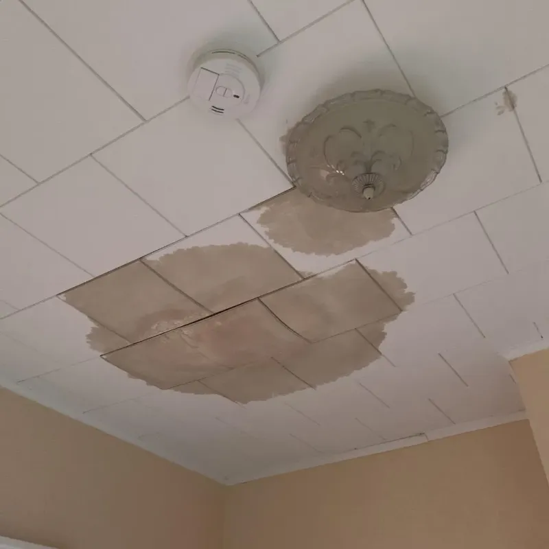 Ceiling Water Damage Repair in Fall City, WA