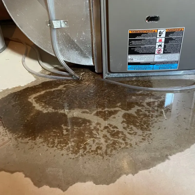 Pipe Burst and Leak Restoration in Fall City, WA
